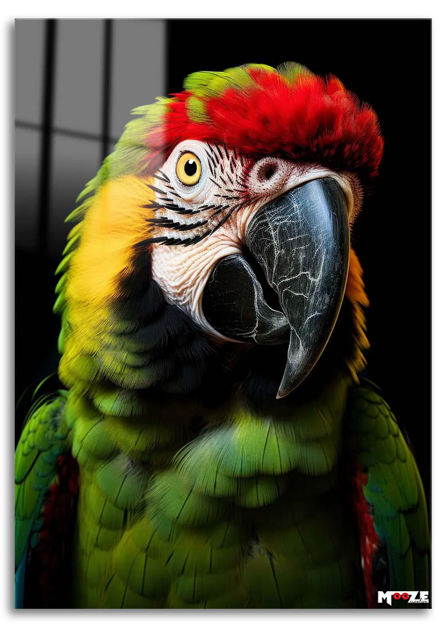 Tropik Renkler: Macaw Portresi