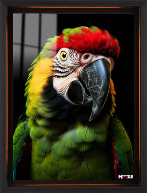 Tropik Renkler: Macaw Portresi