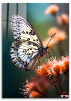 Turuncu Bahar: Beyaz Kelebek Magnet