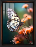 Turuncu Bahar: Beyaz Kelebek