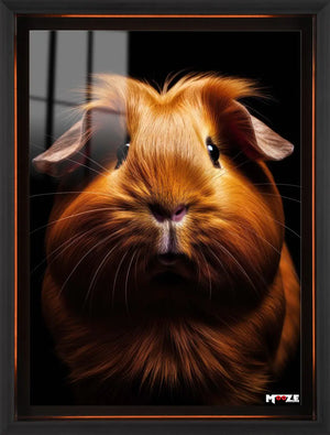 Turuncu Tüy: Ginepig
