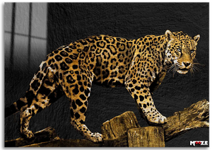 Vahşi Doku: Altın Leopar
