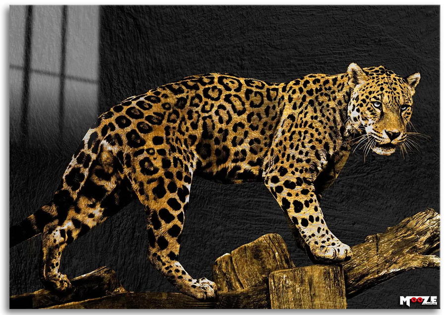 Vahşi Doku: Altın Leopar