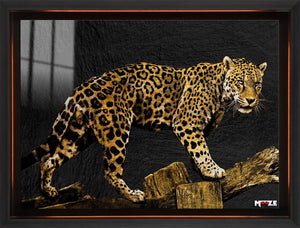 Vahşi Doku: Altın Leopar