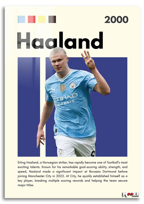 Viking Gücü: Haaland İstatistik