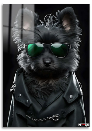 Yeşil Gözlük: Rockçı Terrier