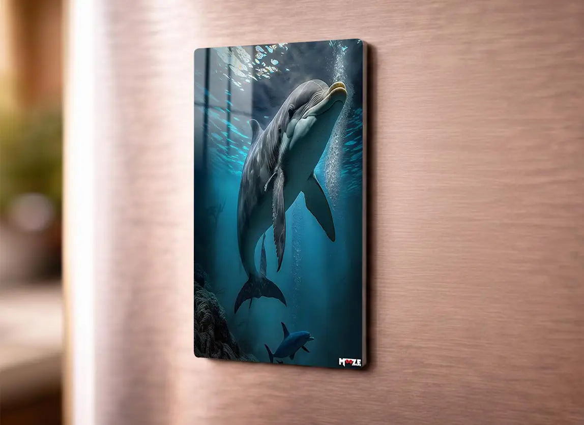 Zarif Yüzüş: Tek Yunus Magnet