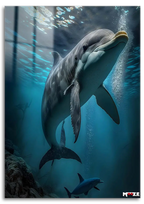 Zarif Yüzüş: Tek Yunus