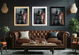 Zengin Dost: Border Collie