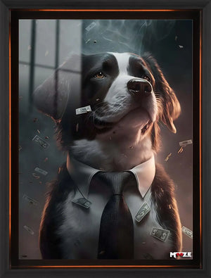 Zengin Dost: Border Collie