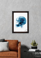 Zihin ve Para: X-Ray Analizi