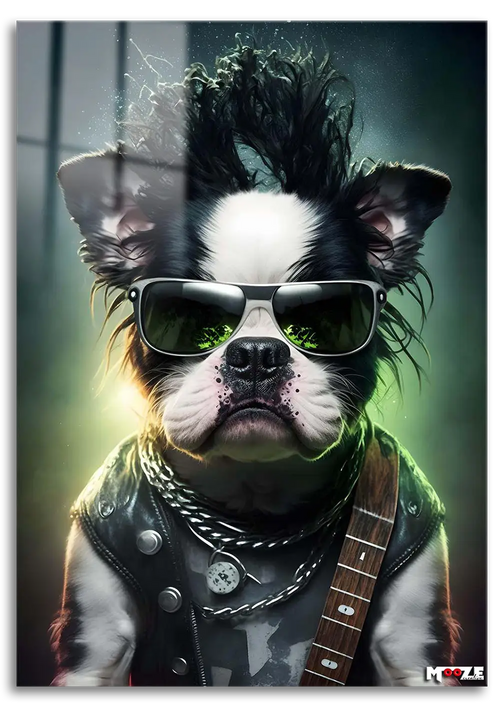 Zincirli Terrier: Punk